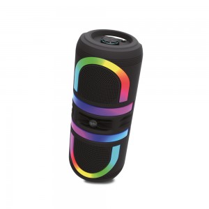 Auris KLN210 25W 2*8 inç Mikrofonlu RGB Bluetooth Hoparlör