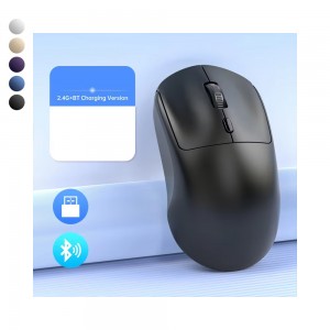 Auris MW10 2.4GHz 1600 DPI Sessiz Kablosuz Mouse