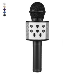 Auris WS858 Karaoke Mikrofon Bluetooth Hafıza Kartı ve Aux Girişli