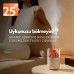 Blueseed BS-H2 Hava Nemlendirme Makinesi