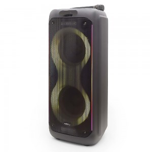 HEPU HP-940 80W 2*10" Extra Bass Kablosuz Mikrofonlu Bluetooth Hoparlör