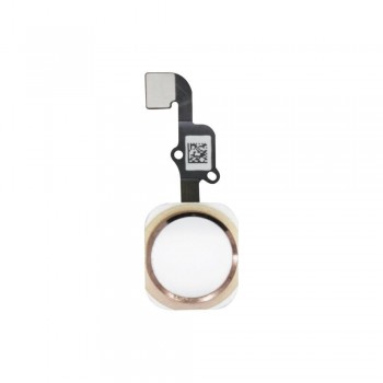 iPhone 6 / 6 Plus Home Tuş Bordu Film Orta Tuş - Gold