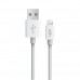 LinkTech C402 Şarj Aleti ve Lightning Kablo Set 1.1A
