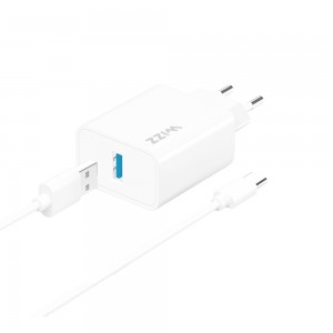 Wizz WS201B-C 2.1A Şarj Aleti + USB-A to Type-C Kablo Set